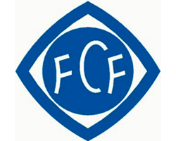 fc frickenhausen
