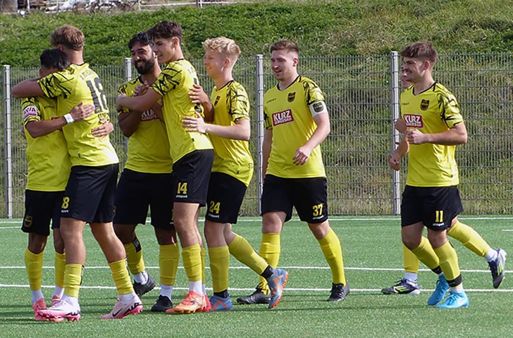 1. FC Heiningen – TSV Berkheim