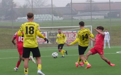 1.FC Heiningen – Türkspor Nürtingen